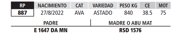 Lote LOTE 34