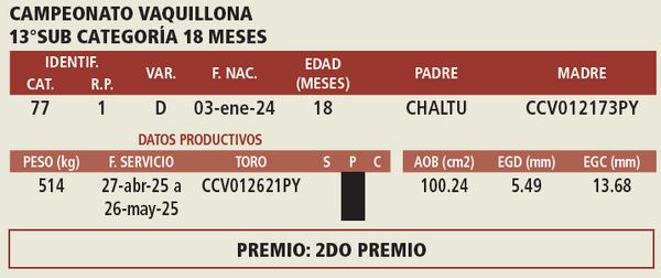 Lote LOTE 4