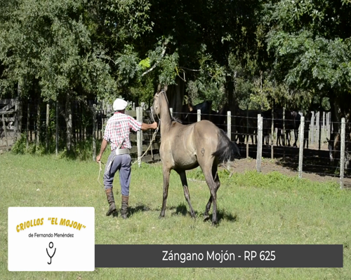 Lote Zángano Mojón (RP 625)