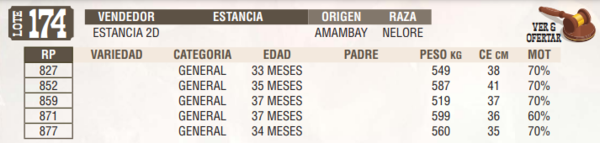 Lote LOTE 174