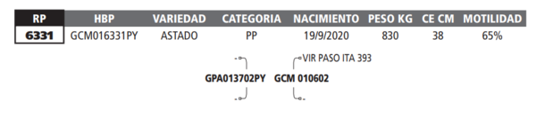 Lote LOTE 15