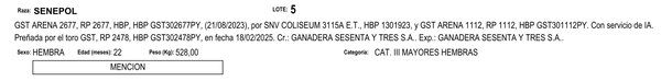 Lote LOTE 5