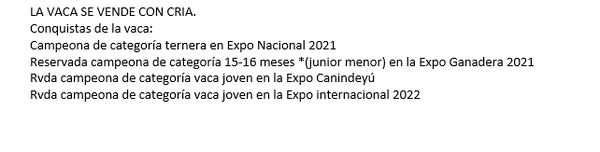 Lote Nelore a Bozal Expo Internacional 2022 RP 1751- Lote 12