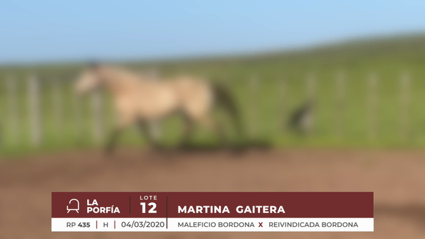 Lote MARTINA GAITERA