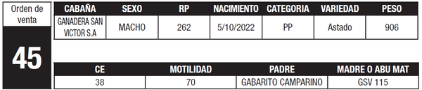 Lote LOTE 45