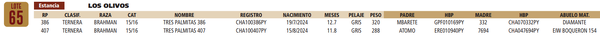 Lote LOTE 65