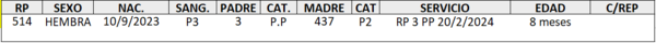 Lote LOTE 12 DE CATALOGO