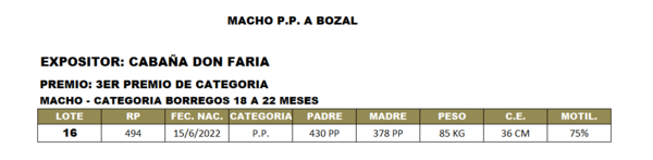 Lote LOTE 16- BOZAL