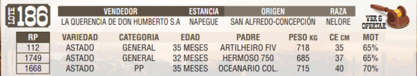 Lote LOTE 186