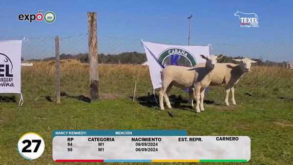 Lote LOTE 27
