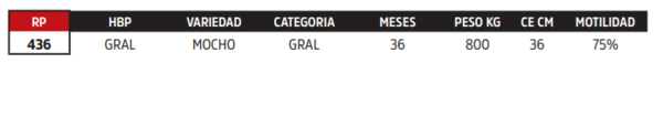 Lote LOTE 19