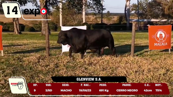 Lote LOTE 14