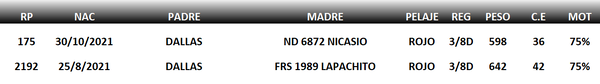 Lote LOTE 41