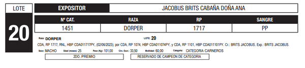 Lote LOTE 20