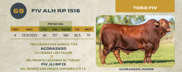 Lote LOTE 69