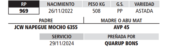 Lote LOTE 6