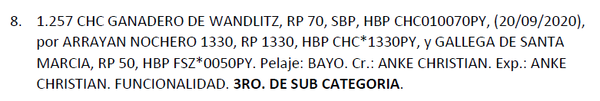 Lote LOTE 8