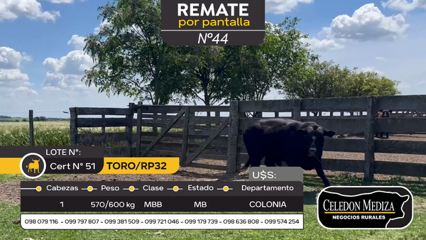 Lote Toro RP32 en Otra Localidad, Colonia