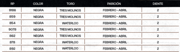 Lote "TRES MOLINOS" Vaquillas Controladas Preñadas