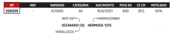 Lote LOTE 70