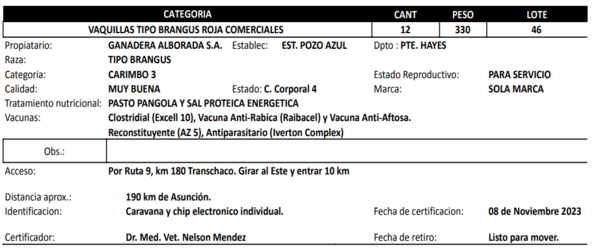 Lote LOTE 46