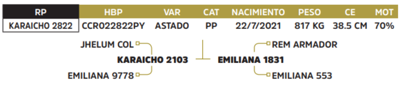 Lote LOTE 34