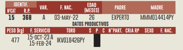 Lote LOTE 13