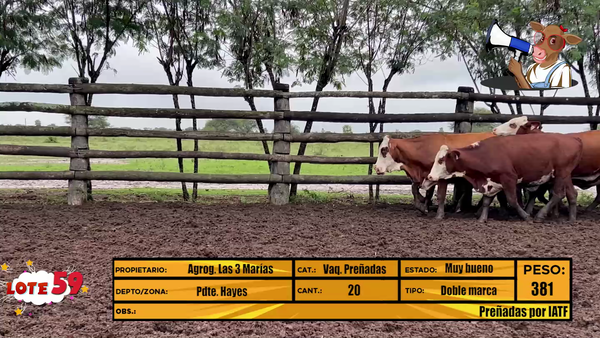 Lote LOTE 59