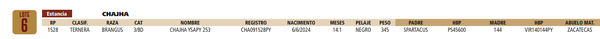 Lote LOTE 6