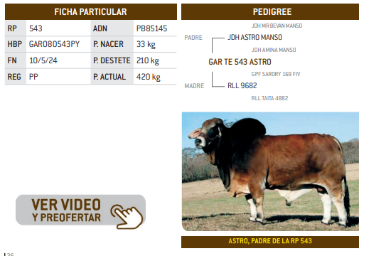 Lote LOTE 22