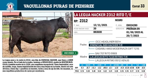 Lote VAQUILLONAS PP REMATE