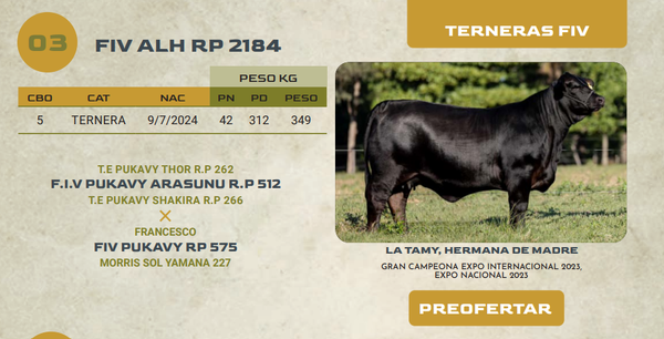 Lote LOTE 3