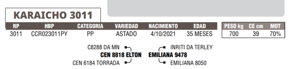 Lote LOTE 14