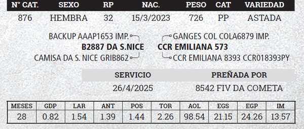 Lote LOTE 17 - BOZAL - SALE A VENTA EL 50%