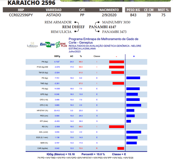 Lote LOTE 3
