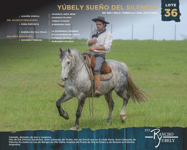 Lote Yubely Sueño Del Silencio
