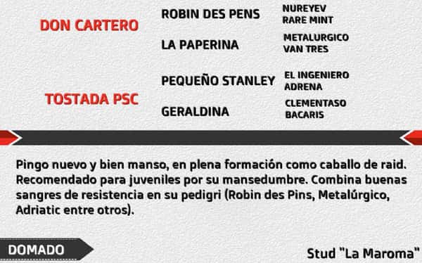 Lote FLAMENGO