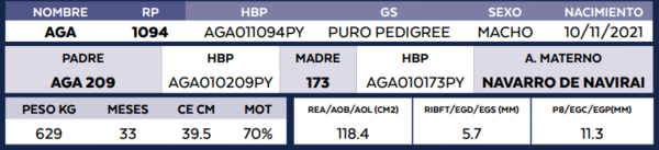 Lote LOTE 27