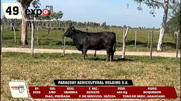 Lote LOTE 49