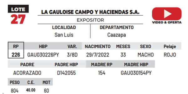 Lote LOTE 27
