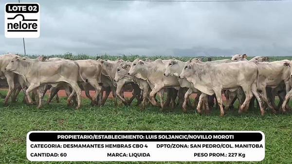 Lote LOTE 2