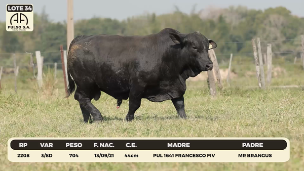Lote LOTE 34
