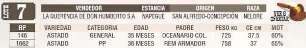 Lote LOTE 7 - EN VIVO