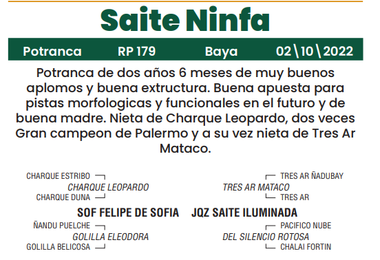 Lote LOTE 19