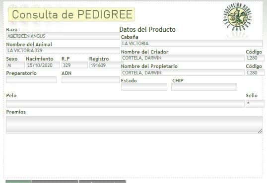 Lote TORO PI - RP 329