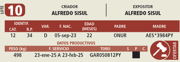 Lote LOTE 10