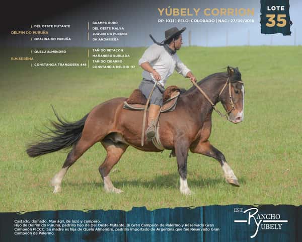 Lote Yubely Corrion