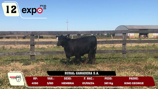 Lote LOTE 12