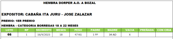 Lote LOTE 66