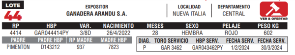 Lote LOTE 44- CAMPO